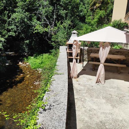 Apartamentos El Rincon De Limes Cangas De Narcea Extérieur photo