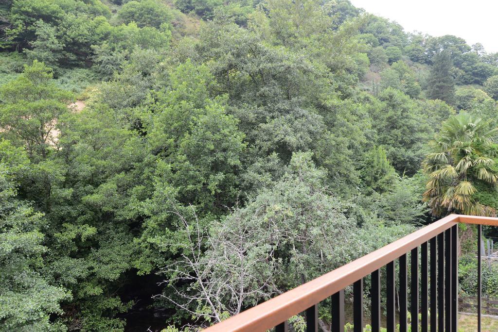 Apartamentos El Rincon De Limes Cangas De Narcea Chambre photo