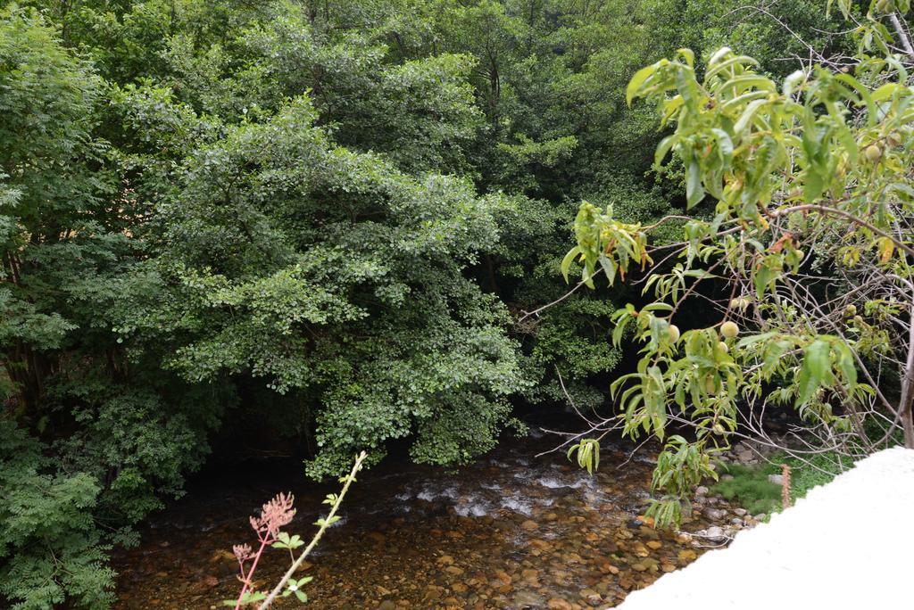 Apartamentos El Rincon De Limes Cangas De Narcea Chambre photo