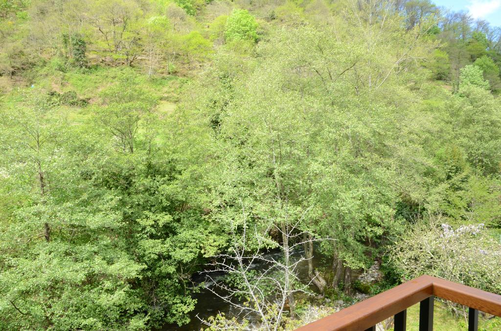 Apartamentos El Rincon De Limes Cangas De Narcea Extérieur photo