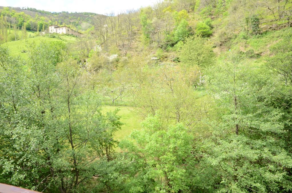 Apartamentos El Rincon De Limes Cangas De Narcea Extérieur photo